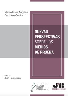 Nuevas perspectivas sobre los medios de prueba.  Mara los ngeles Gonzlez de Coulon