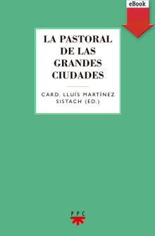 La pastoral de las grandes ciudades.  Varios Autores