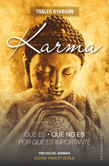 Karma. Qu es, qu no es, por qu es importante.  Juan Carlos Ruiz Franco