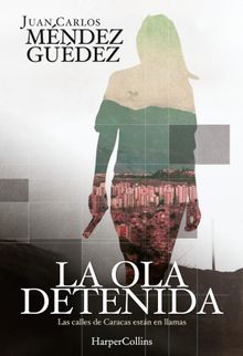 La ola detenida.  Juan Carlos Mndez Gudez