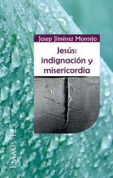 Jess: indignacin y misericordia.  Josep Jimnez Montejo