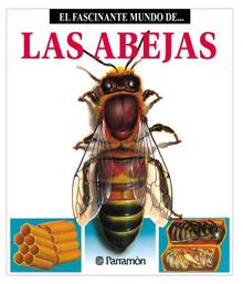 Las Abejas.  Maria ngels Julivert