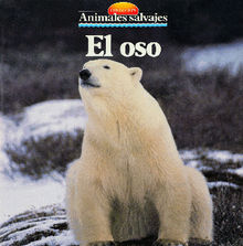 El oso.  Equipo Parramon