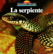 La serpiente.  Equipo Parramon