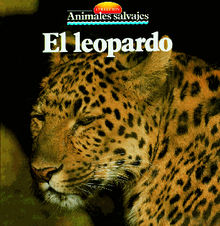 El leopardo.  Equipo Parramon