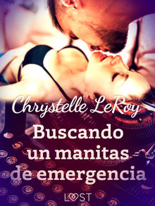 Buscando un manitas de emergencia - un relato corto ertico.  Chrystelle Leroy