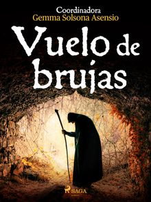 Vuelo de brujas.  Alicia Snchez