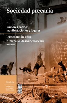 Sociedad precaria.  Ximena Valds Subercaseaux