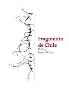 Fragmento de Chile.  Rodrigo Karmy Bolton