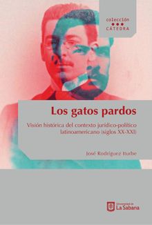 Los gatos pardos.  Jos Rodrguez Iturbe