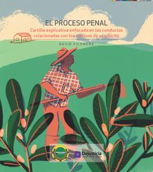 El proceso penal Cartilla explicativa.  David Filomena V