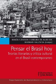Pensar el Brasil hoy. Teoras literarias y crtica cultural en el Brasil contemporneo.  Norman Valencia