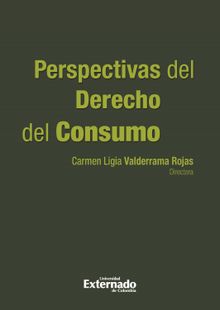 Perspectivas del derecho del consumo ao 2013..  Carmen Ligia Valderrama Rojas