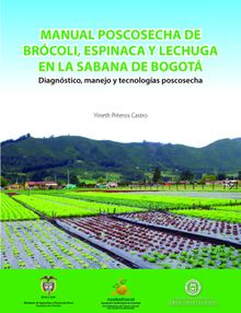 Manual poscosecha de brcoli, espinaca y lechuga en la sabana de Bogot.  Yineth Pieros