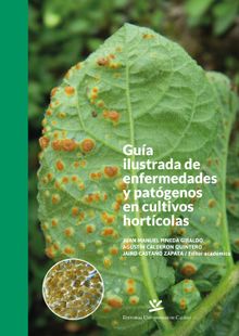 Gua ilustrada de enfermedades y patgenos en cultivos hortcolas.  Juan Manuel Pineda Giraldo