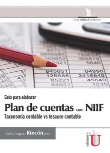 Gua para elaborar plan de cuentas con NIIF.  Carlos Augusto Rincn Soto