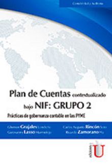 Plan de Cuentas bajo NIF: Grupo 2.  Carlos Augusto Rincn Soto