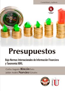 Presupuestos.  Carlos Augusto Rincn Soto