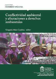 Conflictividad ambiental y afectaciones a derechos ambientales.  Gregorio Mesa Cuadros