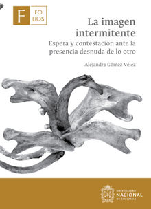 La imagen intermitente.  Alejandra Gmez Vlez