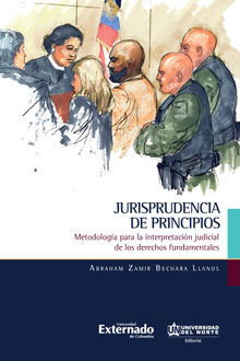 Jurisprudencia de principios.  Universidad del Norte