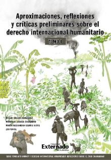 Aproximaciones, reflexiones y criticas preliminares sobre el Derecho Internacional Humanitario. Tomo I..  dgar Solano Gonzlez