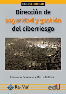 Direccin de seguridad y gestin del ciberriesgo.  FERNANDO SEVILLANO