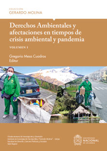 Derechos Ambientales y afectaciones en tiempos de crisis ambiental y pandemia, volumen I.  Gregorio Mesa Cuadros