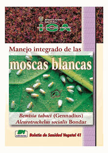 Manejo integrado de las moscas blancas Bemisia tabaci (Gennadius) Aleurotrachelus socialis Bondar.  Instituto Colombiano Agropecuario