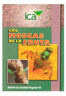 Las moscas de la fruta.  Herberth Gomez