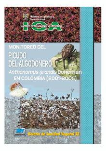 Monitoreo del picudo algodonero Anthonomus grandis Boheman en Colombia (2001-2005).  Varios Autores