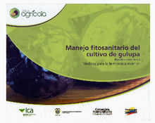 Manejo fitosanitario del cultivo de gulupa (Passiflora edulis Sims.): Medidas para la temporada invernal.  Licino Garrido