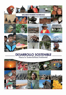 Desarrollo sostenible: Hacia la sostenibilidad ambiental.  Eduardo Romero