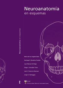 Neuroanatoma en esquemas.  Jorge G. Valmaggia