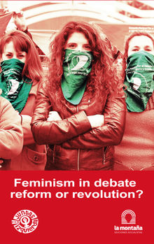 Feminism in debate, reform or revolution?.  Celeste Fierro