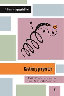 Gestin y proyectos.  Juan Carlos Piuela