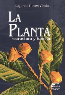 La planta: estructura y funcin.  Eugenia Flores Vindas