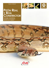 PITN REAL Y BOA CONSTRICTOR