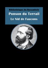 LE NID DE FAUCONS