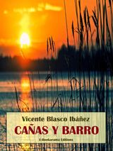 CAAS Y BARRO