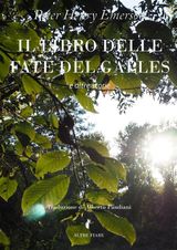 IL LIBRO DELLE FATE DEL GALLES (E ALTRE STORIE)