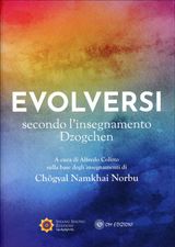 EVOLVERSI