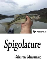 SPIGOLATURE