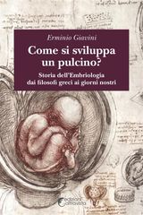 COME SI SVILUPPA UN PULCINO