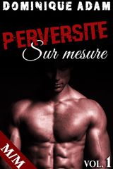 PERVERSIT SUR MESURE VOL. 1
PERVERSIT SUR MESURE