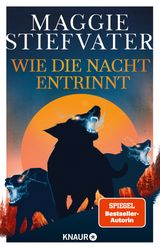 WIE DIE NACHT ENTRINNT
DREAMER-TRILOGIE