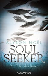 DAS ECHO DES BSEN
SOUL SEEKER