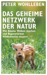 DAS GEHEIME NETZWERK DER NATUR