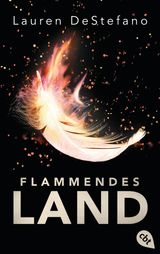 FLAMMENDES LAND
DIE CHRONIKEN DER FALLENDEN STADT