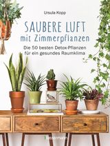 SAUBERE LUFT MIT ZIMMERPFLANZEN